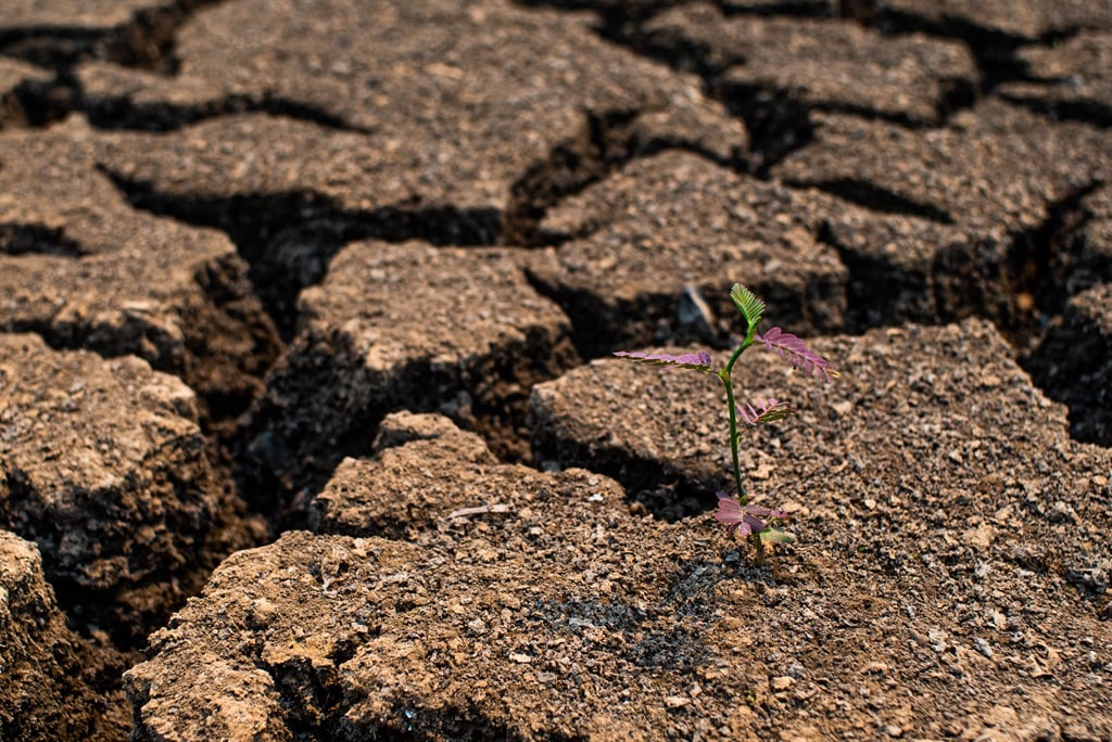 The completion of the project will be a huge step in the continent’s use of satellite technology to build climate resilience. (Lucas Ninno/ Getty Images)