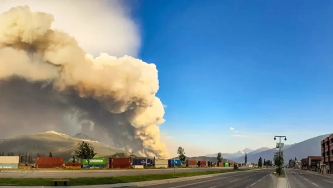 Enormes incendios forestales arrasan Estados Unidos y Europa mientras las temperaturas globales alcanzan máximos históricos - teleSUR
