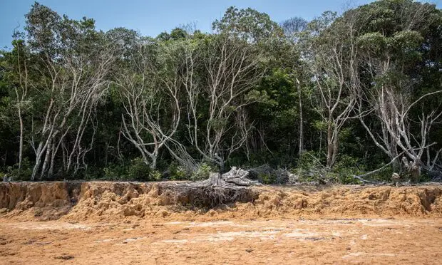 Estado de Amazonas declara emergencia para 20 municipios por severa sequía - teleSUR
