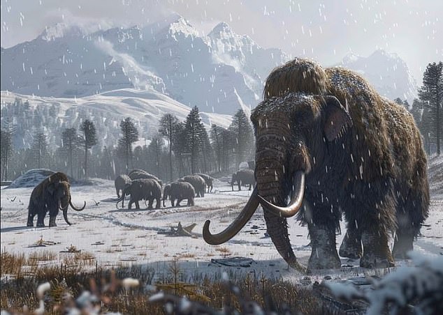 Los expertos están un paso más cerca de devolver la vida al mamut lanudo gracias a la primera reconstrucción 3D de cromosomas recolectados de piel antigua