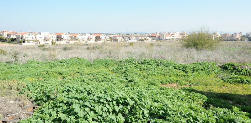 Agricultural land in Gedera  credit: Tamar Matsafi