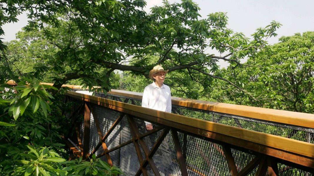 La mitad de los árboles del famoso jardín botánico del Reino Unido están amenazados por el cambio climático
