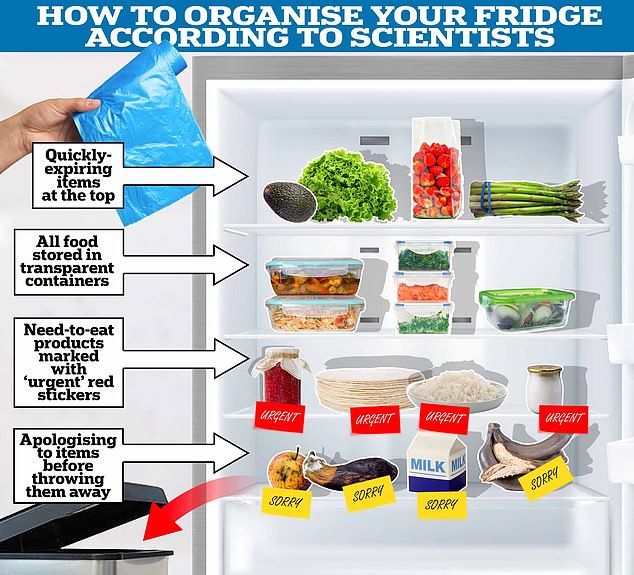 Científicos en Japón han ideado cuatro consejos para reducir la cantidad de alimentos de tu refrigerador que terminan en la basura.