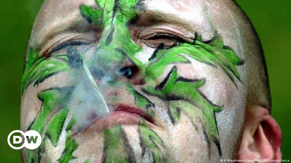 Los clubes de cannabis alemanes se enfrentan a una jungla de burocracia
