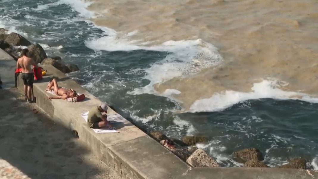 Más algas en la superficie del mar Adriático como consecuencia del aumento de las temperaturas
