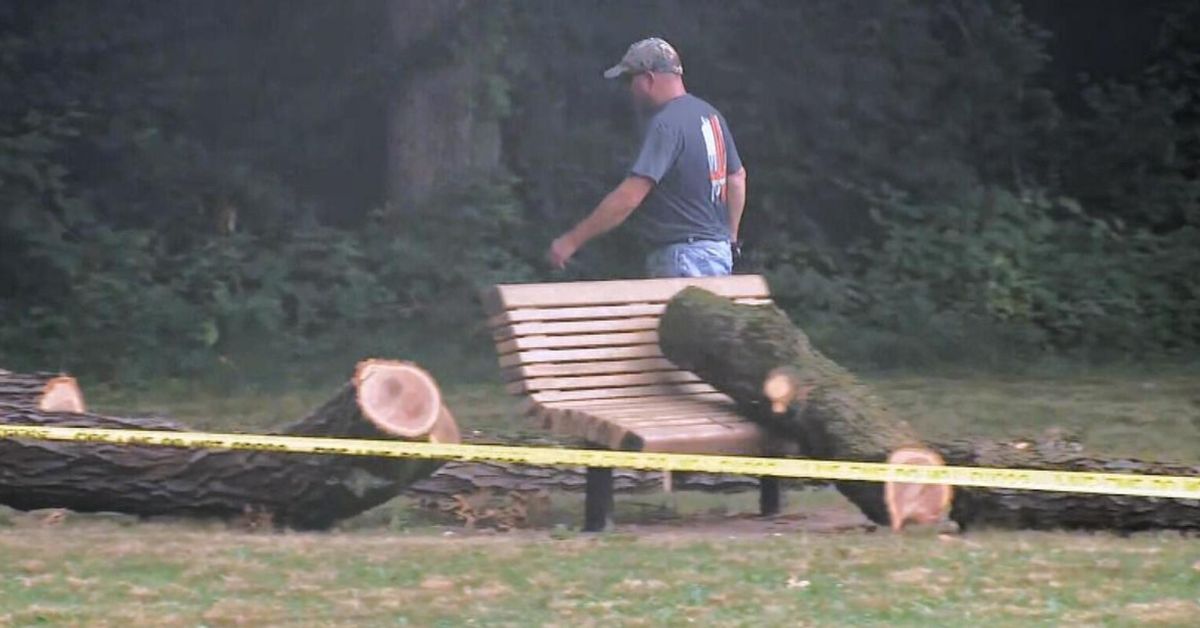 Niña atrapada por la caída de una enorme rama de árbol
