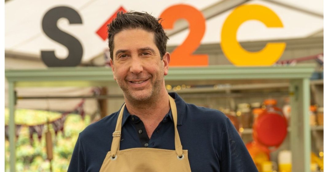 Patrimonio neto de David Schwimmer 2024: ¿cuánto dinero gana?
