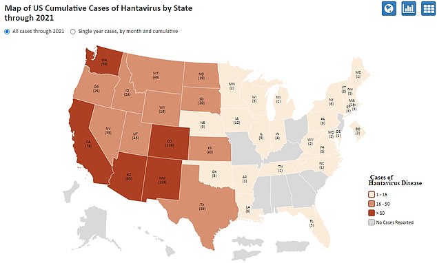 El mapa de arriba muestra los casos de hantavirus por estado desde 1993 hasta 2021. Colorado y Nuevo México son los principales focos.