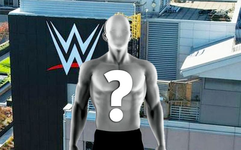 WWE busca un nuevo vicepresidente
