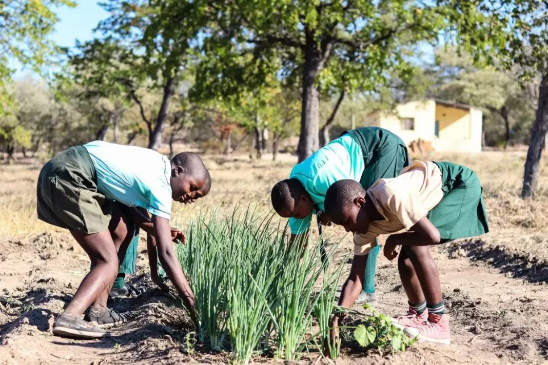 Zambia: ONU pide acciones urgentes para enfrentar el cambio climático - teleSUR
