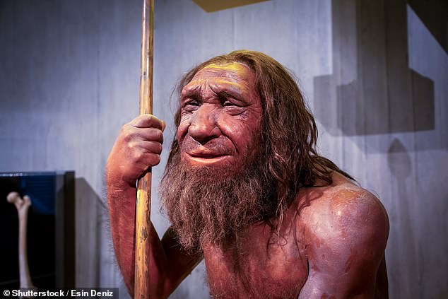 No hay nada más reconfortante que sentarse a disfrutar de un asado dominical. Y resulta que esta práctica podría haberse practicado durante decenas de miles de años, ya que las evidencias sugieren que los neandertales podrían haber asado pequeños pájaros para la cena.