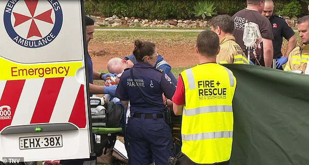 Los servicios de emergencia (en la foto) acudieron a Old Bush Road, cerca de Princess Highway, en Engadine, alrededor de las 9.15 a. m. del domingo, luego de informes de un accidente de varios vehículos.