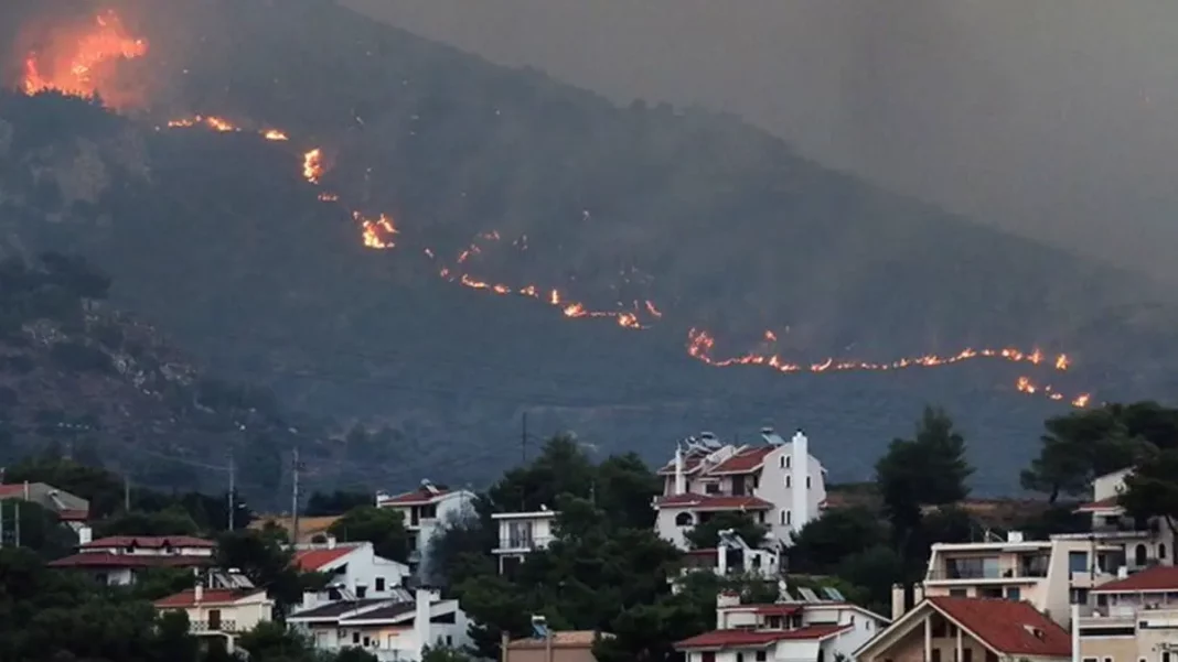 Bajo control un gran incendio forestal en los suburbios de Atenas - teleSUR
