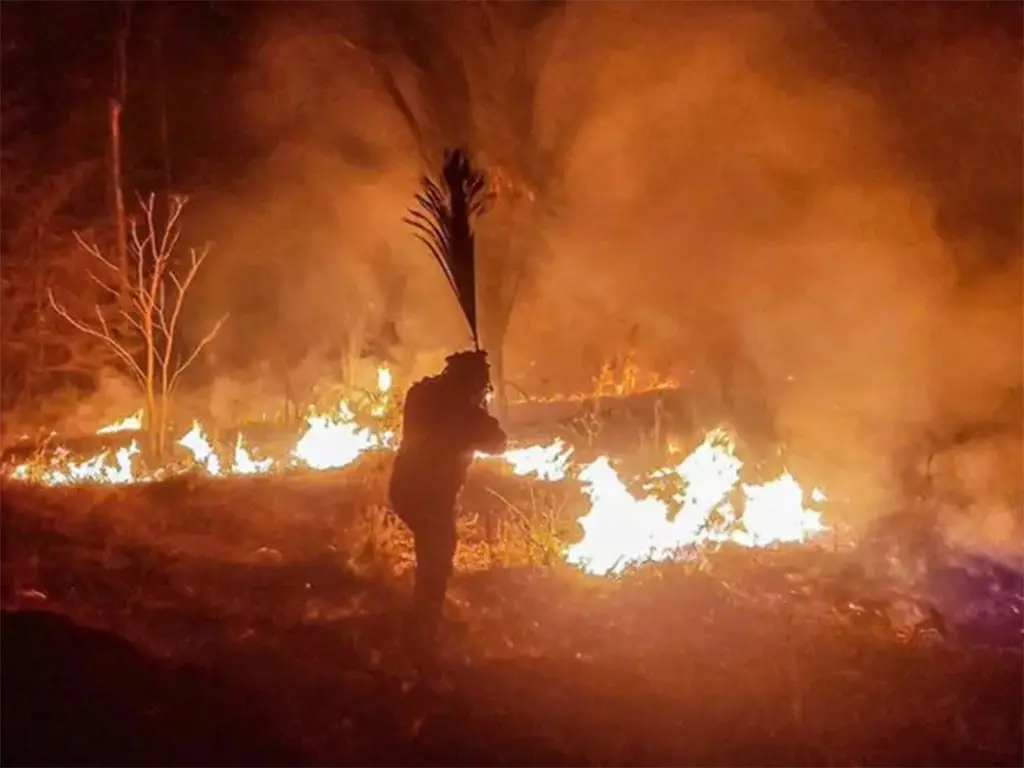 Bolivia inicia causas penales por incendios forestales provocados - teleSUR
