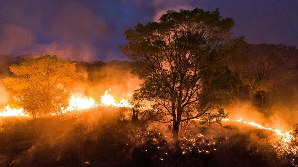 Brasil: Sao Paulo en alerta por expansión de incendio forestal - teleSUR
