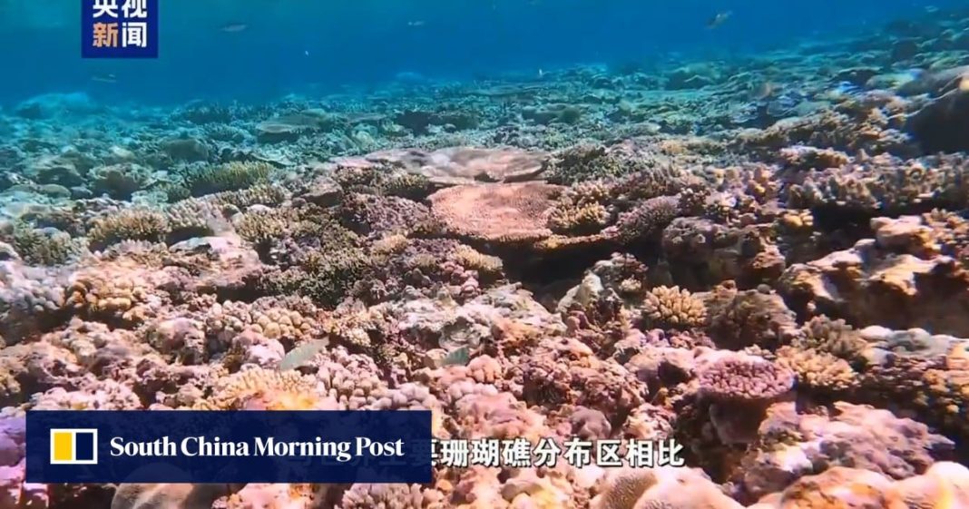 China niega haber dañado el arrecife del Mar de China Meridional y afirma que fue obra de la guardia costera filipina
