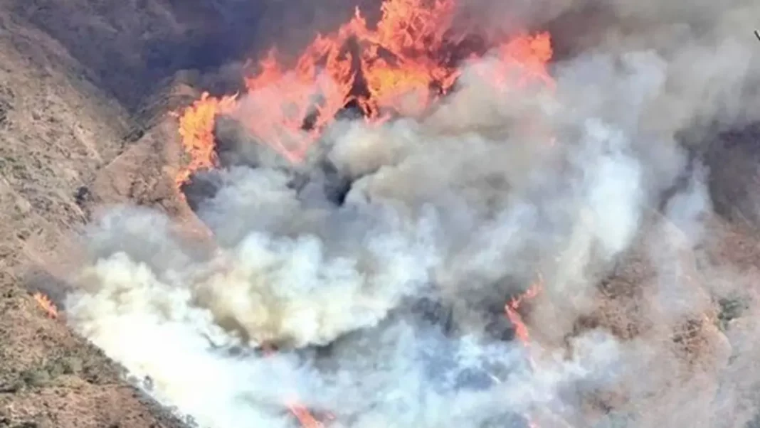 Ecuador: 1.174 hectáreas de bosque destruidas por incendios en los Andes del Sur - teleSUR
