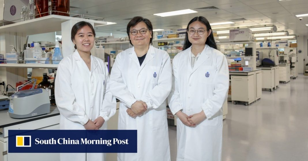 El descubrimiento de un equipo de Hong Kong brinda esperanzas de cura para el Alzheimer. Así lo lograron
