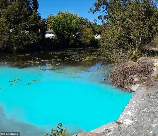 Un miembro del público notó que el agua en Humpybong Creek, en Moreton Bay (en la foto), en el norte de Brisbane, se había vuelto azul agua el lunes por la mañana.