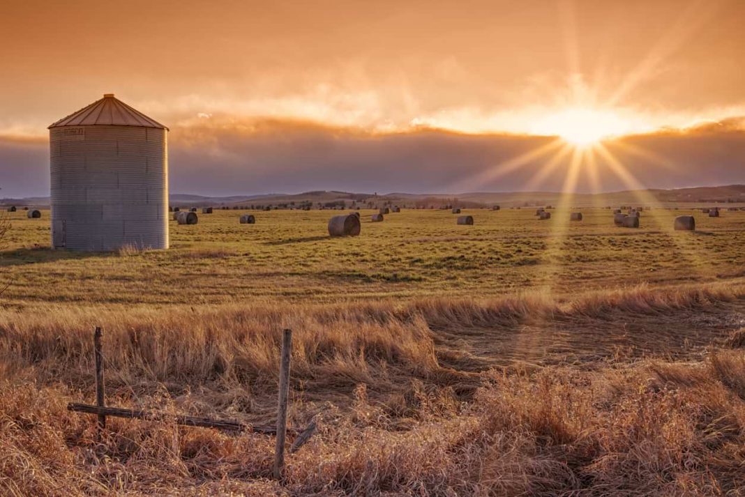 El programa piloto de inmigración rural y del norte ya está cerrado
