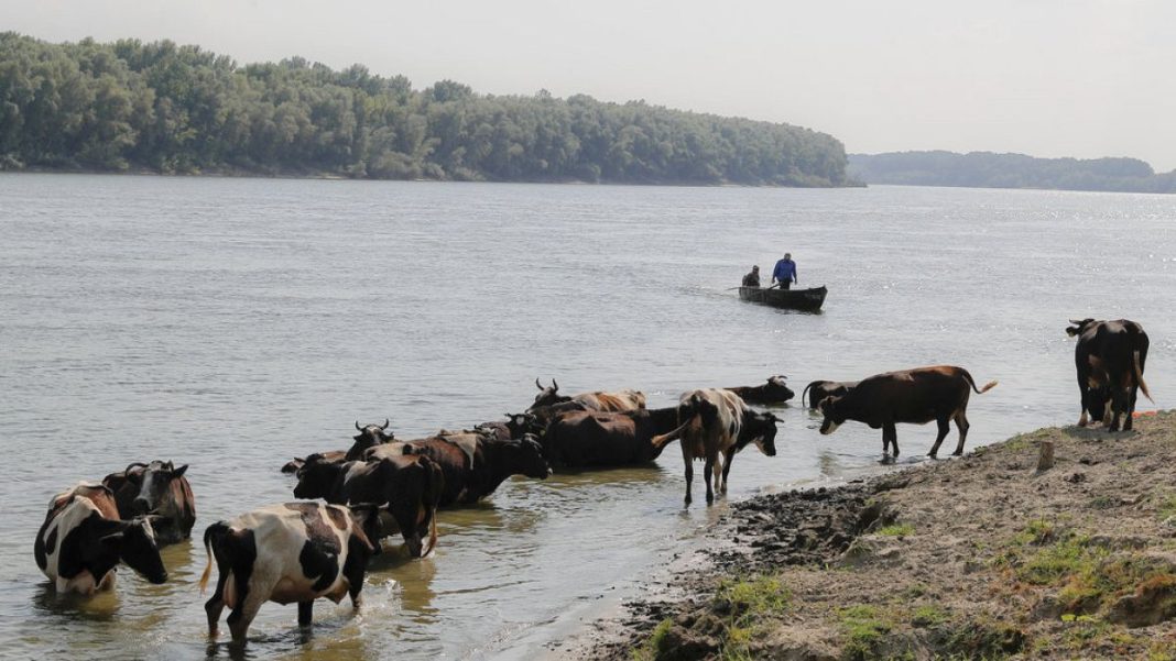 El río Danubio retrocede en Rumanía y afecta al tráfico fluvial
