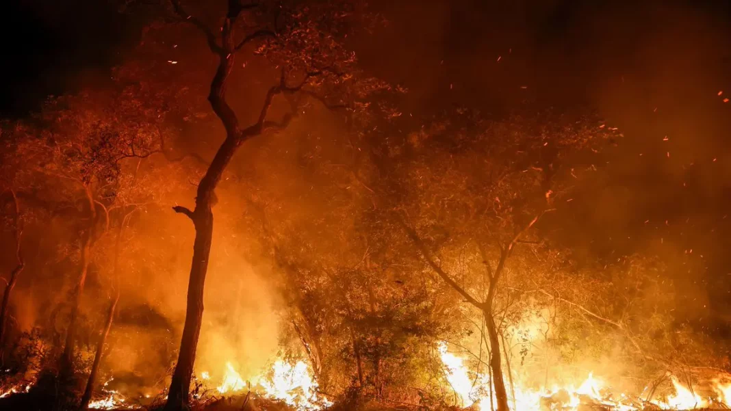 Incendios forestales se extienden por Bolivia y provocan desplazamientos - teleSUR
