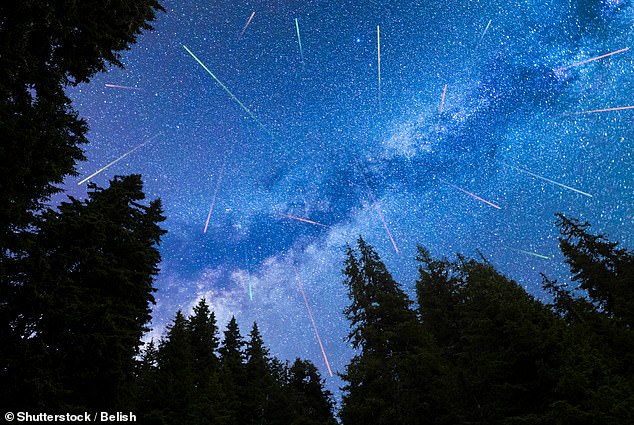 La lluvia de meteoros de las Perseidas alcanzará su máximo apogeo este fin de semana entre el domingo 11 y el lunes 12 de agosto