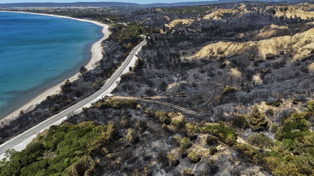 Los bomberos siguen luchando contra cientos de incendios forestales en Turquía
