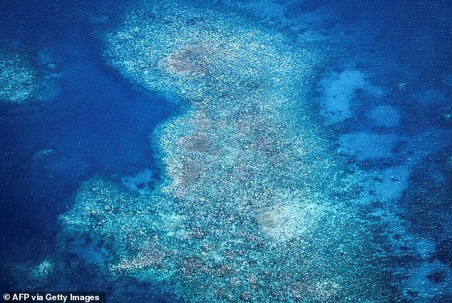 Una fotografía aérea muestra corales blanqueados y muertos alrededor de la isla Lizard en la Gran Barrera de Coral, el 4 de abril de 2024. Los investigadores advirtieron que si el calentamiento continúa, el icónico ecosistema podría desaparecer en los próximos 30 años.