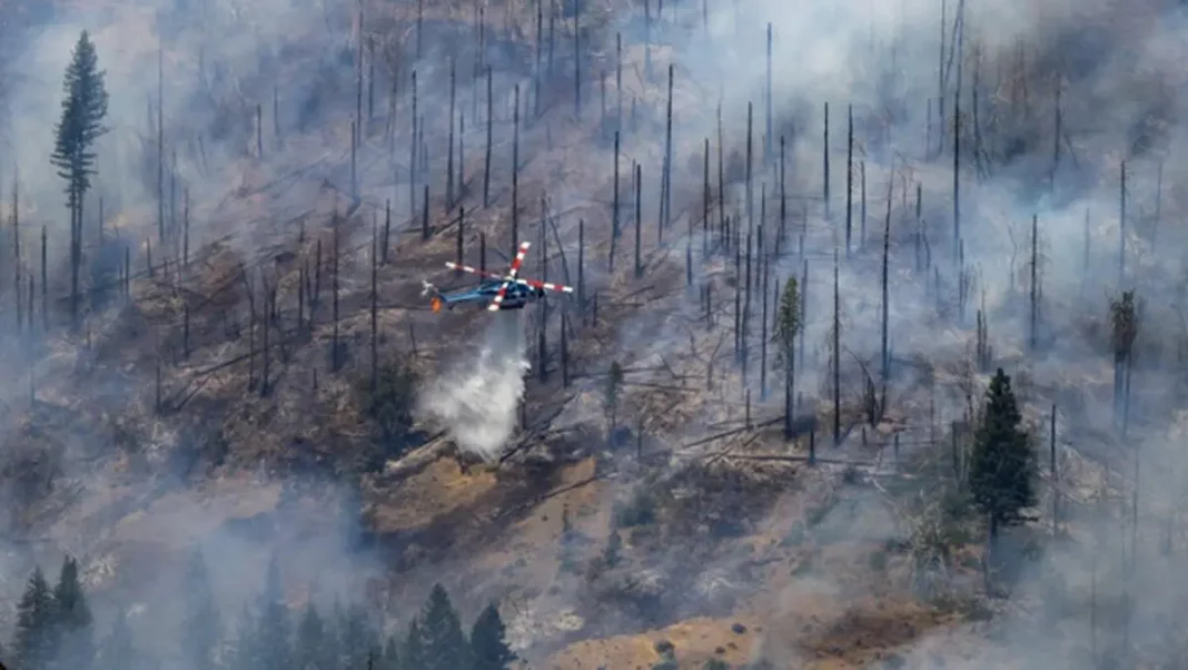 Los incendios forestales siguen devastando el oeste de EE. UU. en medio de una sequía récord - teleSUR
