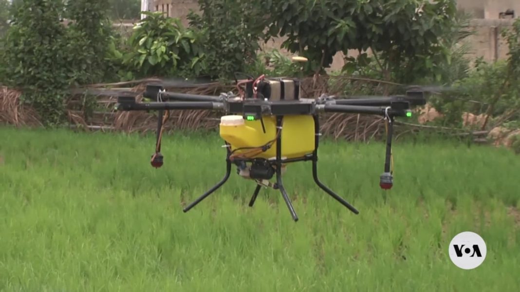 Nigeriano inventa un dron para detectar enfermedades en los cultivos
