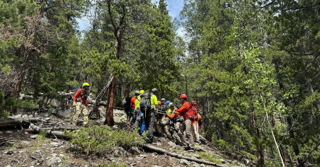 Rescatan a excursionista desaparecida que fue abandonada por sus compañeros durante un 'retiro' en EE.UU.
