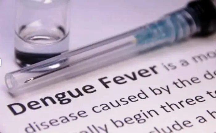 Trinidad y Tobago: Aumentan a ocho las muertes por dengue - teleSUR
