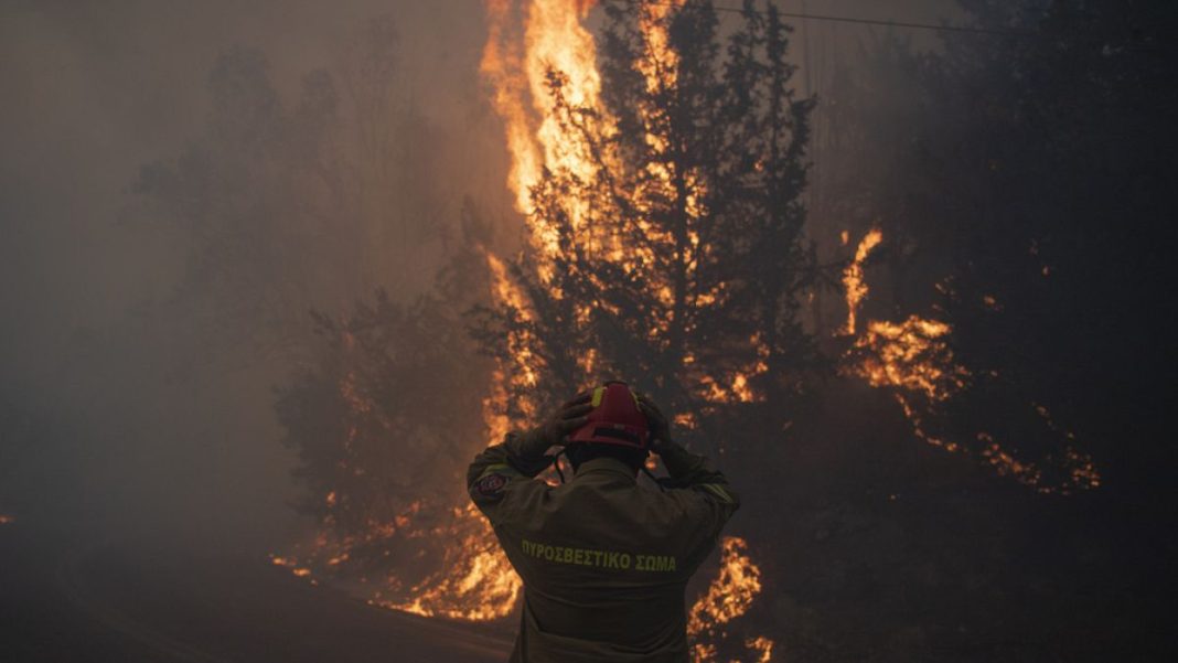 Un incendio forestal 