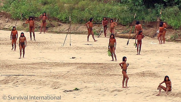 Los Mashco Piro fueron vistos blandiendo lanzas en las orillas de un río en el remoto Perú (foto de junio)