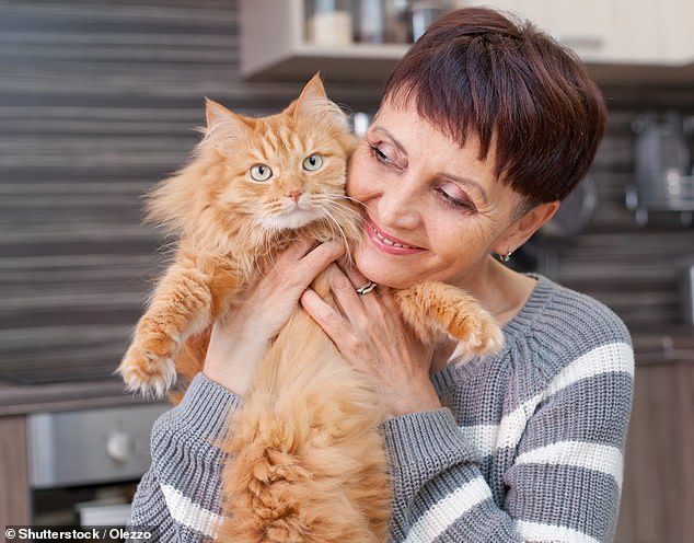 Se han demostrado de forma consistente diferencias de personalidad entre las personas que aman los perros y las que aman los gatos (foto de archivo)