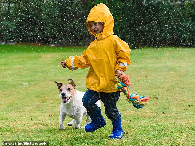 El estudio sugiere que dejar que los niños jueguen con un perro puede ser beneficioso al aumentar la oxitocina, comúnmente conocida como 