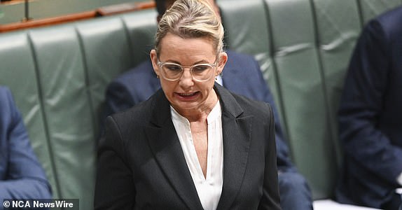 CANBERRA, AUSTRALIA, Fotos de NewsWire. 29 DE NOVIEMBRE DE 2023: La vicelíder de la oposición, Sussan Ley, durante el turno de preguntas en el Parlamento de Canberra. Foto: NCA NewsWire / Martin Ollman