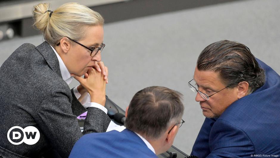 Alemania: AfD pierde apelación para presidir comisiones del Bundestag
