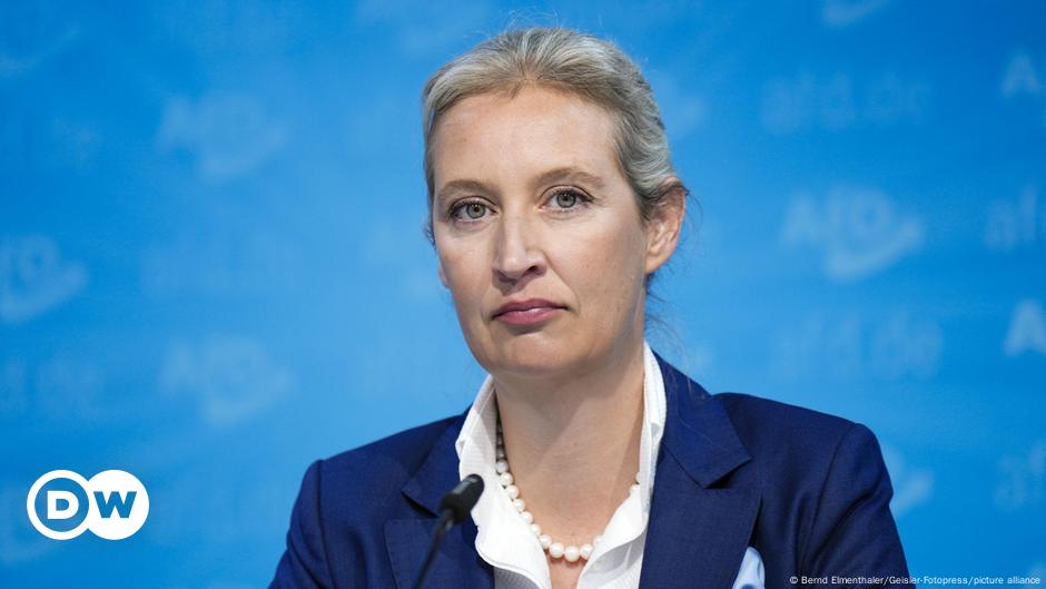 Alemania: Los líderes de AfD eligen a Weidel como candidato a canciller
