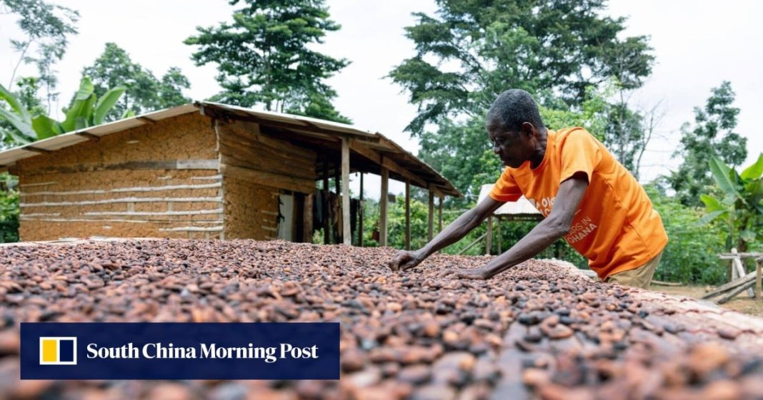 Así se verá la transición de China y África a la próxima fase de la Franja y la Ruta
