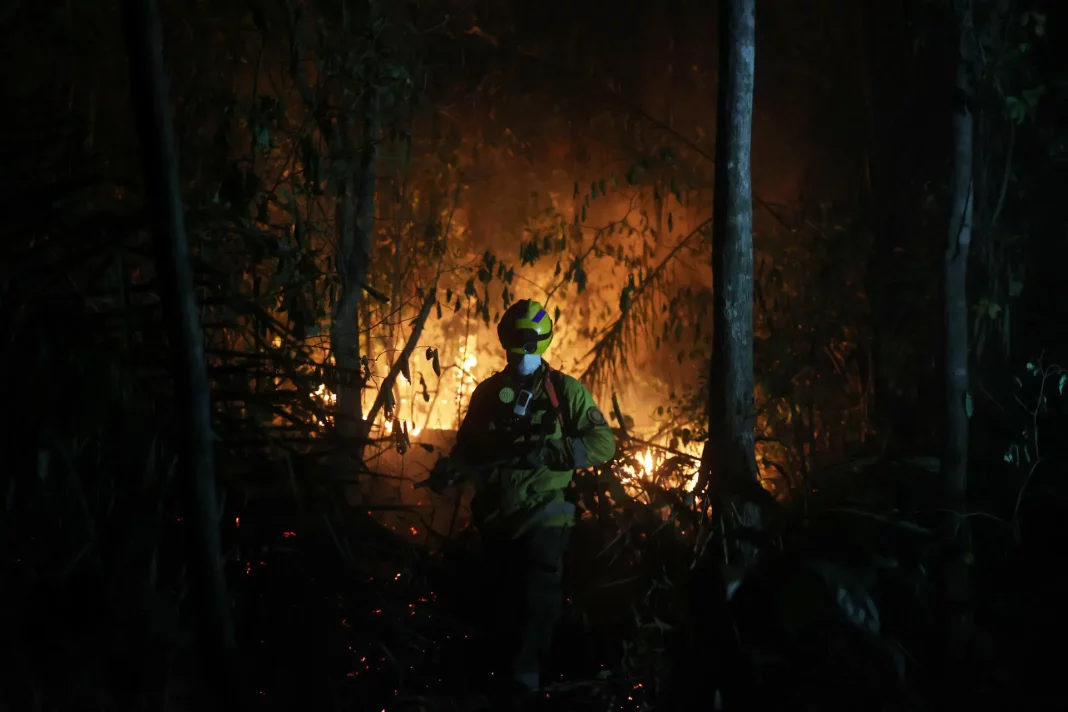 Bolivia declara estado de emergencia nacional por incendios forestales - teleSUR
