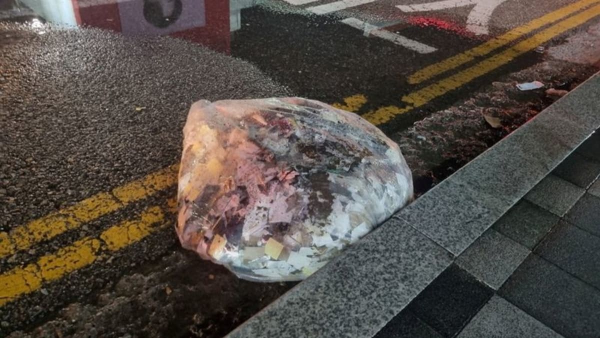 Corea del Sur advierte de una acción "decisiva" contra los globos de basura
