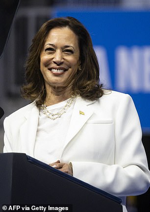 La vicepresidenta Kamala Harris habla en un mitin de campaña en Savannah, Georgia, el 29 de agosto de 2024