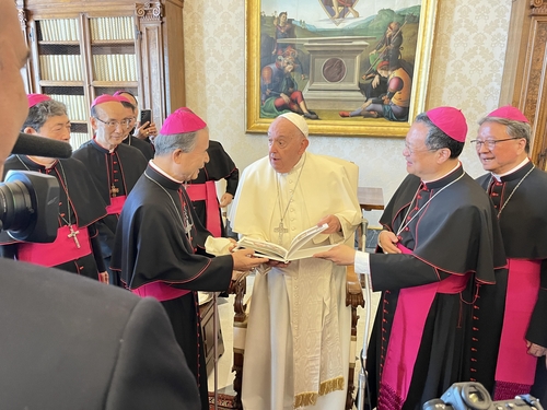 Pope Francis expresses unease over Korean Peninsula division