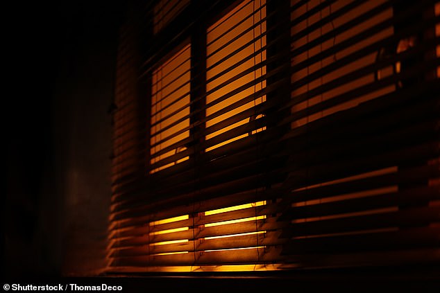 Según un estudio, exponerse demasiado a la luz exterior durante la noche, como las luces de la ciudad que se filtran por la ventana, podría aumentar el riesgo de desarrollar la enfermedad de Alzheimer