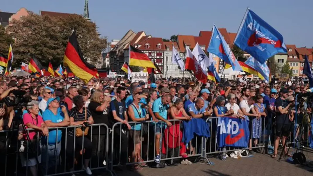 El partido AfD gana las primeras elecciones regionales de su historia en Turingia - teleSUR
