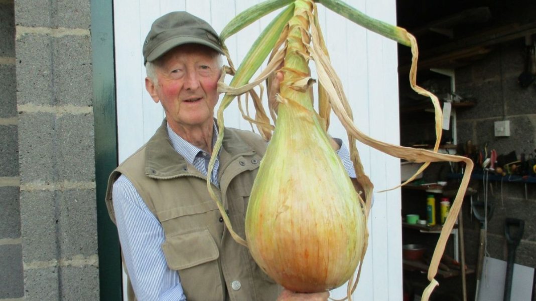 'Es mi vida': dentro del mundo de los vegetales gigantes que rompe récords
