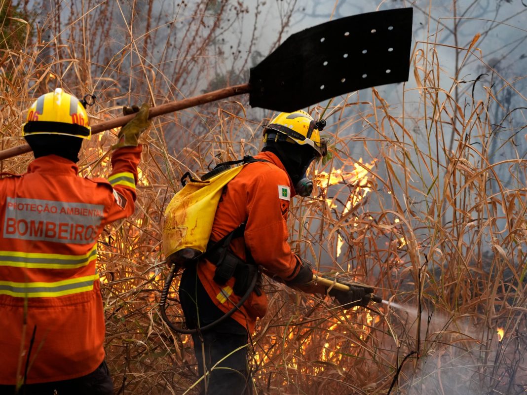 Fotos: Bomberos combaten incendios forestales que ahogan la capital brasileña
