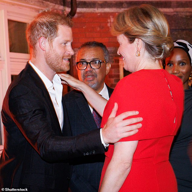 El príncipe Harry saluda a la reina Matilde de Bélgica durante una cena de alto nivel sobre 